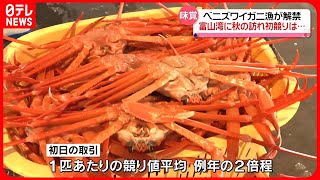 【ベニズワイガニ】富山湾に秋の訪れ　漁解禁、初競り　競り値価格は例年の約2倍に