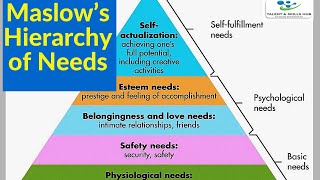 Understanding Maslow’s Hierarchy of Needs | Talent and Skills HuB