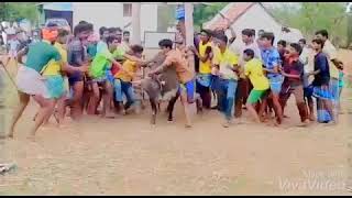 Kadambur subash jallikattu video