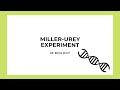 IB Biology: Miller-Urey Experiment