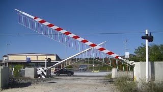 Spoorwegovergang Scordia (I) // Railroad crossing // Passaggio a livello