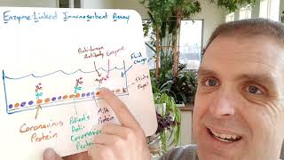 COVID-19 Tests Explained
