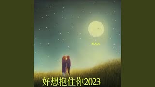 好想抱住你2023 (和声伴奏版)