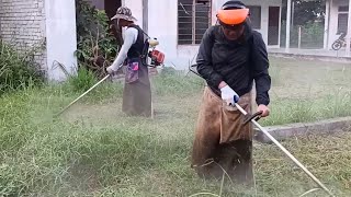 SEGMEN MESIN RUMPUT  ||  STIHL FR3001 vs TOKAI TL43