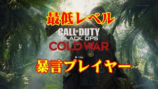 CoD BO CW　気分が悪い　最低レベルの暴言プレイヤー