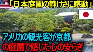 【海外の反応】「日本庭園の静けさに感動」 アメリカの観光客が京都の庭園で感じた心の安らぎ !   世界の人々が日本の伝統的な庭園に感動する理由