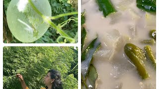 ഇന്ന് കുമ്പളങ്ങ പറിച്ചൊരു ഓലൻ വെച്ചാലോ?Ash gourd Olan / Mol Mathew’s Kitchen \u0026 Garden