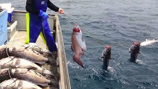 Amazing fishing fish catching skills handline - Amazing Longline Fishing Videos