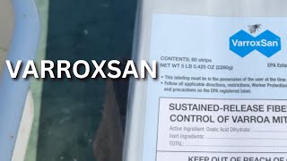 VarroxSan