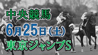 【中央競馬ライブ】天保山S