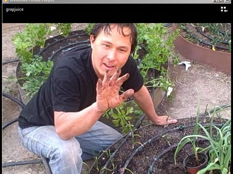Best Way to Get Your Hands & Fingernails Clean after Gardening Best Way to Get Your Hands & Fingernails Clean after Gardening