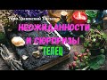 ТЕЛЕЦ♉НЕОЖИДАННОСТИ и СЮРПРИЗЫ НОЯБРЯ 2024🔴ЦЫГАНСКИЙ ПАСЬЯНС🍀Tarò Ispirazione