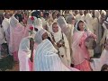 selam dawits eritrea wedding in adis abeba