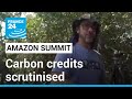 Will carbon credits be a new green windfall for Brazil? • FRANCE 24 English