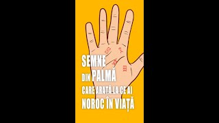 SEMNE DIN PALMĂ CARE ARATĂ LA CE AI NOROC ÎN VIAȚĂ