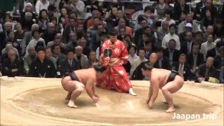 妙義龍 vs 正代 2016大相撲春場所3日目 Myogiryu vs Shodai SUMO 2016 March