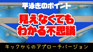 見えなくてもそこにあるとわかる。そんな不思議を使った姿勢づくり【平泳ぎ】