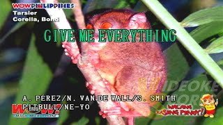 Pitbull ft. Ne-Yo, Afrojack, & Nayer - Give Me Everything (Karaoke/Lyrics/Instrumental)