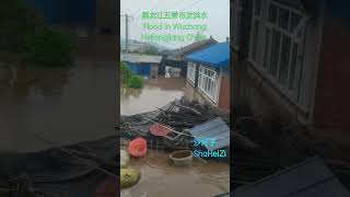 黑龙江五常发大水大米遭殃Flood attached Wuchang in Harbin China