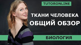 Ткани человека. Полный обзор 8 класса | Биология TutorOnline