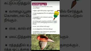 வாழைப்பூவின் நன்மைகள்#shorts #shortsfeed #food