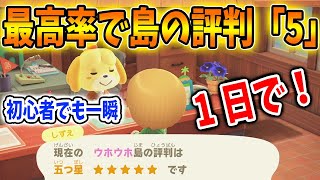 【あつ森】1日で島の評判を「5」にする方法！効率的な評価の上げ方はこれだ！【攻略/あつまれどうぶつの森/Animal Crossing/島整備/島クリエイター/金のジョウロ/とたけけ】