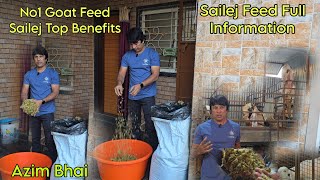 No1 Goat Feed Sailej Full Information Top Benefits Saste Mein Mast Bakaron Ke Liye Chara | Azim Bhai