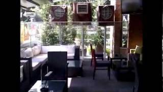 Second Cup International Nicosia Cyprus.wmv