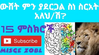 #Ethiopia #ስነስርዓት #MisgeZobl 15 Steps to master Self -Discipline in Amharic     #MisgeZobl