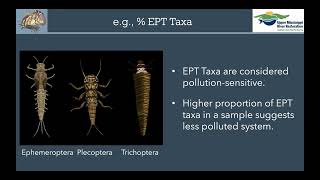 RiverWatch Winter Speaker Series 2024 - River Health Monitoring with Macroinvertebrate Bioindicators