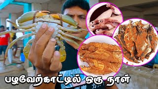 பழவேற்காட்டில் நண்பர்களுடன் ஒரு நாள் / Taste Of Pazhaverkadu...  Chennai Vlog - TravelKuruvi