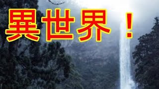 【海外の反応】 日本の神社の異世界のような雰囲気に 海外「本当に現実世界なのか？」