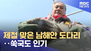 제철 맞은 남해안 도다리‥쑥국도 인기 (2023.03.17/뉴스투데이/MBC)