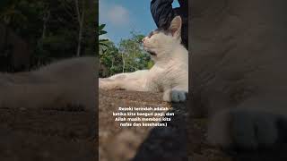 selalu tetap bersyukur #shorts #shortvideo #viral #quotes #hiburanmedsos #fyp