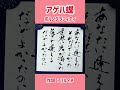 shorts 『アゲハ蝶』ポルノグラフィティ｜書道｜毛筆｜筆文字｜書道パフォーマンス｜japanese calligraphy｜