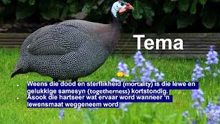 Gr 11 Afrikaans EAT - Die Tarentaal  Totius verduideliking op video