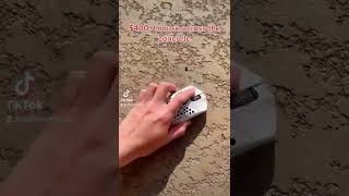 Throwing my $400 mouse across the concrete