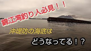 【水中映像】錦江湾にある沖堤防の際を撮影してきました！