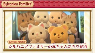 【シルバニア】シルバニアファミリーの赤ちゃん大集合！〈公式〉