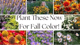 13 Perennial Plants You're Probably Not Growing, But Should Be For Vibrant Late Summer & Fall Color