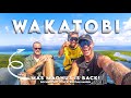 WAKATOBI - Tribes, Diving & Island Hopping (Sulawesi, Indonesia)