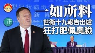 20210401B【一如所料】世衞十九報告出爐，狂打肥佩奧臉！   |   芒向快報