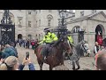 Don't touch the police horse #metpolice