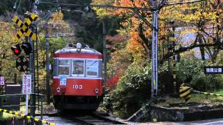 箱根登山鉄道　紅葉の小涌谷　サンナナ＋110　下り　201211125