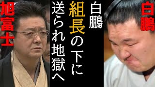 進路が最も嫌がっていた伊勢ケ浜部屋送りに変更 照ノ富士との過去に唖然 白鵬・北青鵬問題が世界一わかる動画