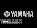 yamaha ll16m demonstration by dean wells teramaze