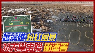 【中天午報精華】20210227 毀7600年藻礁強蓋接收站 學者砲轟蔡總統公然說謊