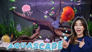 RAKIT AQUASCAPE BARENG AKU YUK!