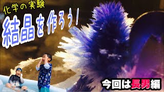 【親子で実験】尿素で唯一無二の結晶を作る！