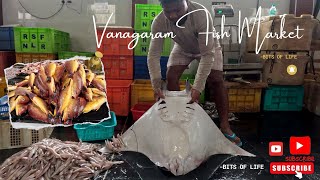 Vanagaram Fish Market | Famous Chennai wholesale Fish Market - BITS OF LIFE